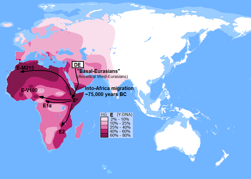 Distribution of haplogroup E YDNA and migration routes